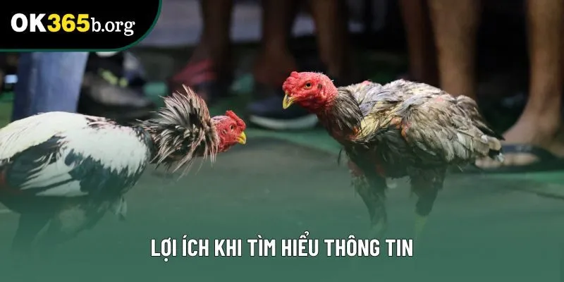 Lợi ích khi tìm hiểu thông tin